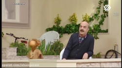 کارتون کلاه قرمزی 97